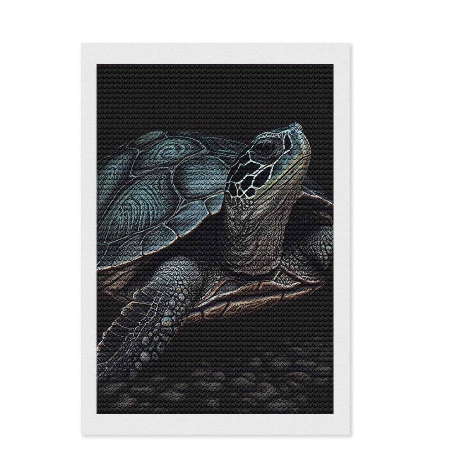 Junmoney Turtle Drawn DIY Diamond Art Canvas Kit 8"x12", Bedroom Decor, for Craft Lovers, Full Kit Included, Thoughtful Handmade Gift