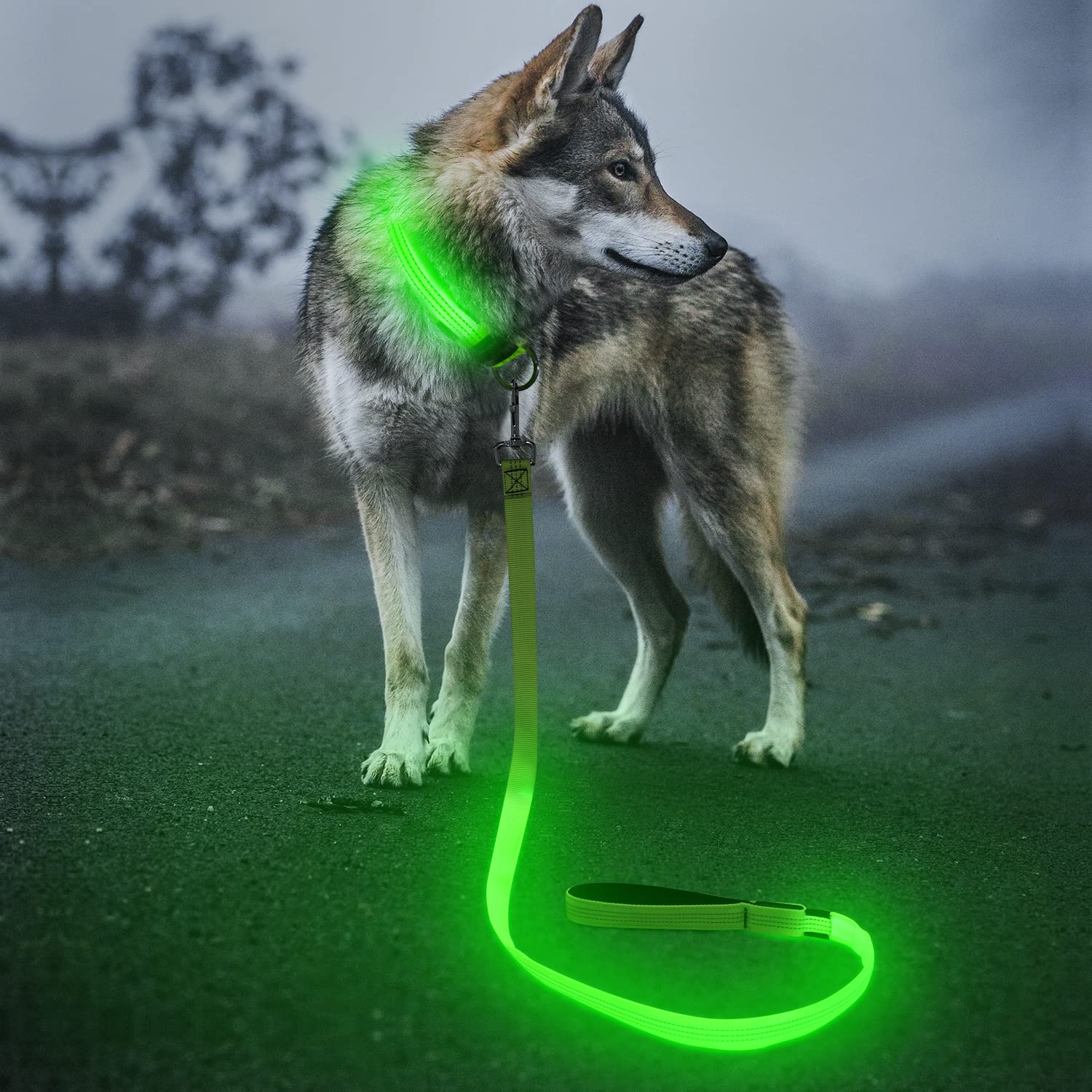 BSEEN Light Up Dog Leash