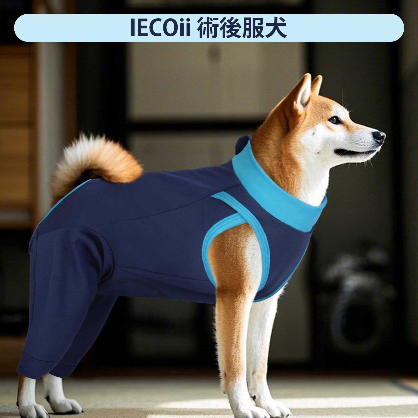 Amazon | IECOii 術後服 犬 後脚と胴体の傷口保護 避妊手術 離乳 皮膚