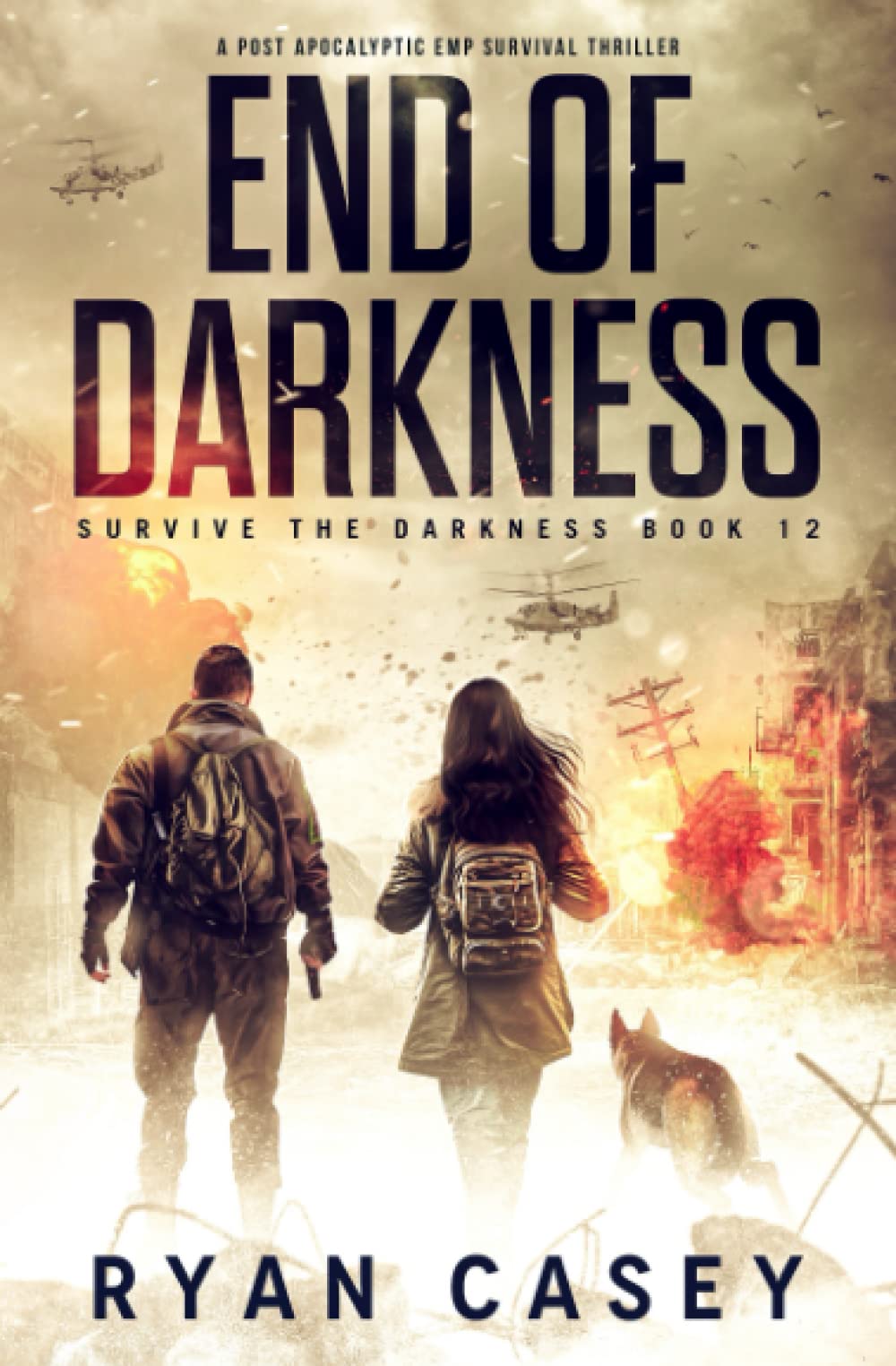 End of Darkness: A Post Apocalyptic EMP Survival Thriller: 12 (Survive the Darkness)