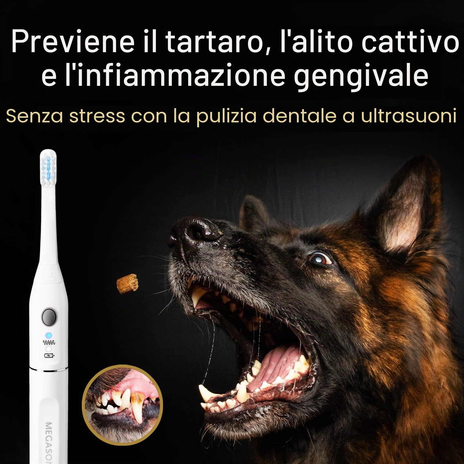 Megasonex, spazzolino da denti per cani, a ultrasuoni