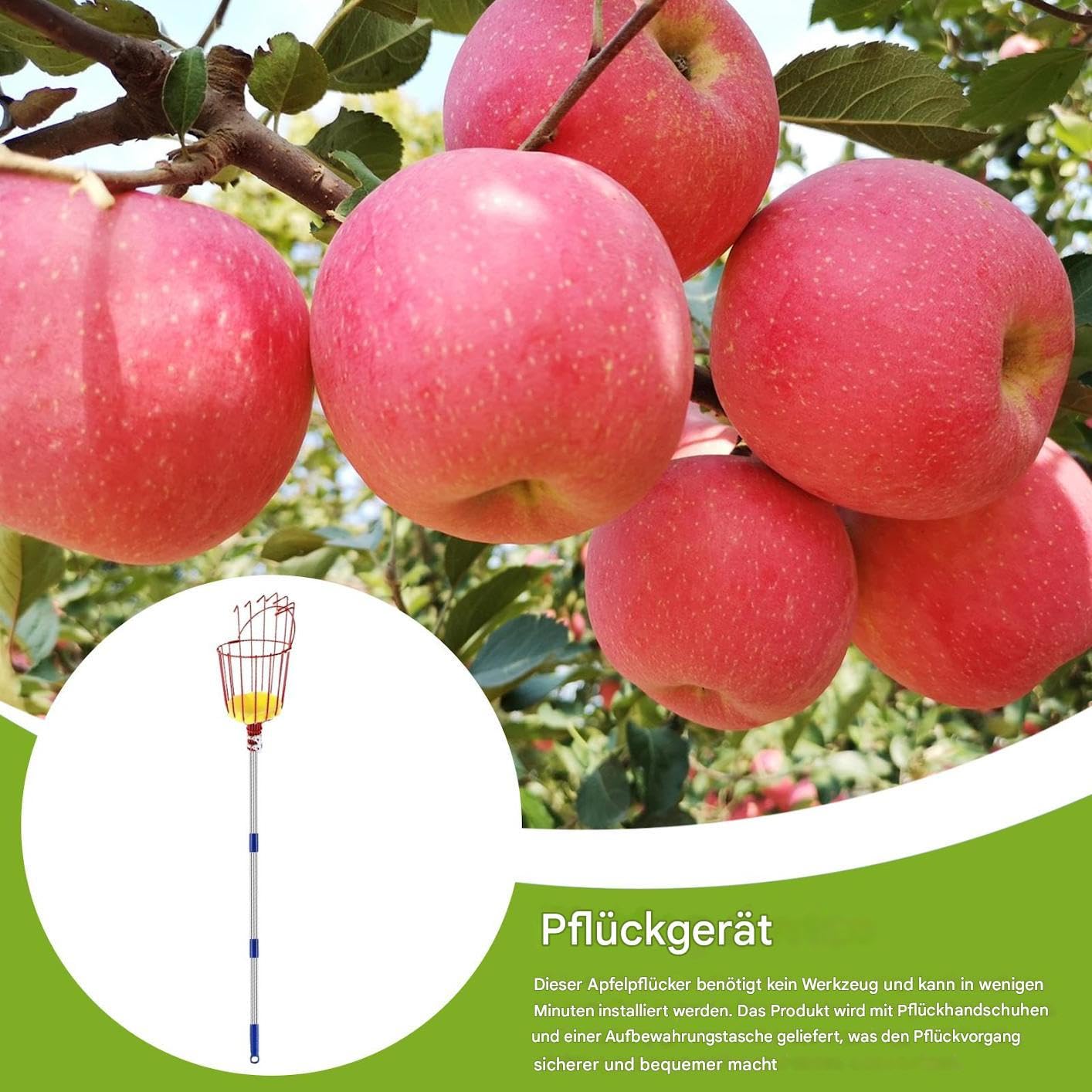 Raccoglitore Frutta Attrezzo Portatile Raccoglitore di Frutta