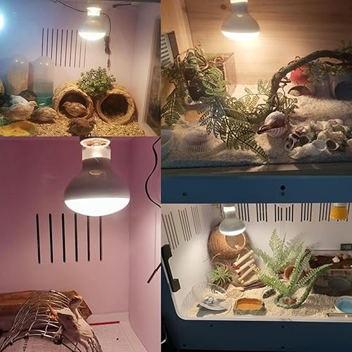 Miniatura 6 de Aiicioo Bombilla de luz para reptiles Lámpara de calor de reptiles de 150 W, paquete de 2 anfibios de luz diurna UVA para bombilla de sol para