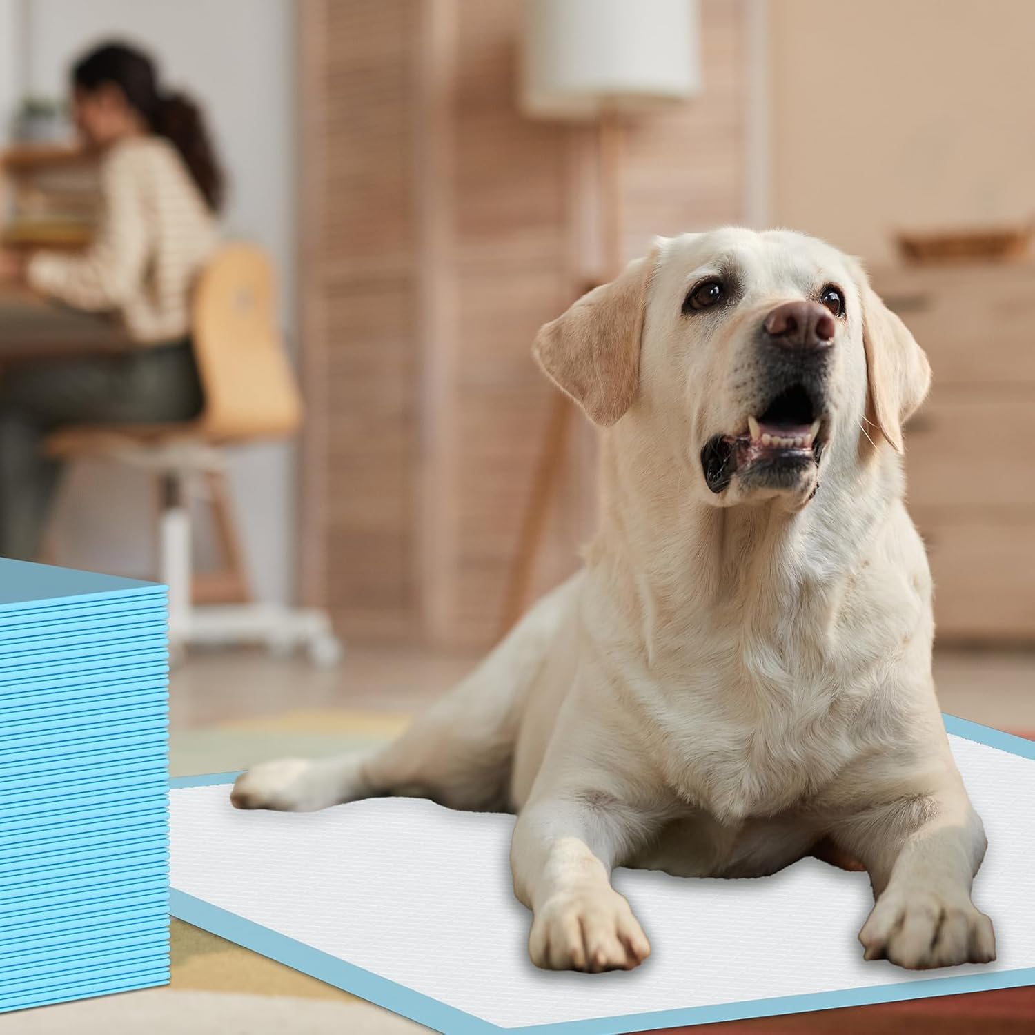 40 Pièces Gros Tapis Absorbant Chien, 80x120cm Alese Jetable, Alèse Pipi Tapis Educateur pour Chien Gros,Apprentissage de la Propreté Tapis Hygiénique (40 Pièces 80x120cm)