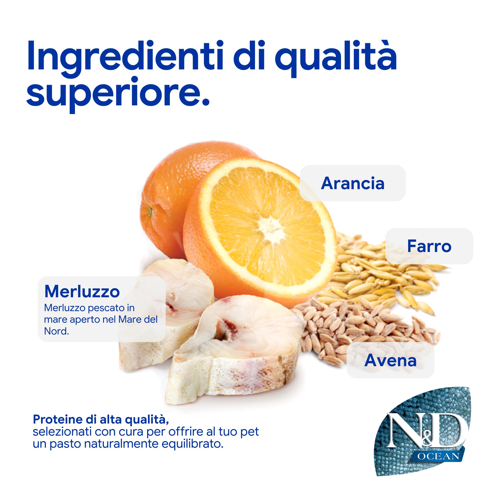 N&D OCEAN DOG CODFISH, SPELT, OATS AND ORANGE ADULT MINI 7KG