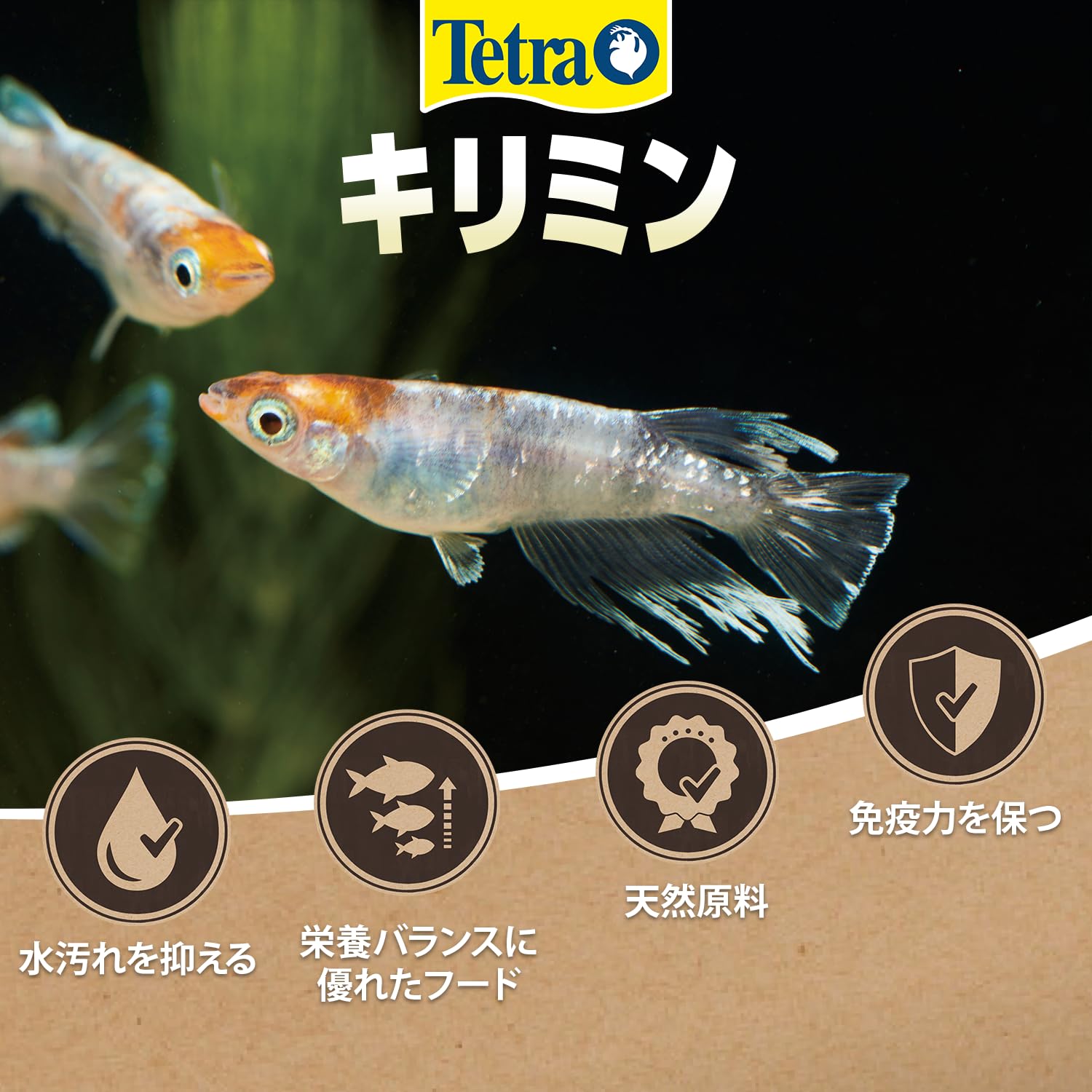 Amazon | テトラ(Tetra) キリミン 繁殖+カラー 20G メダカの餌 善玉菌