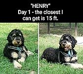 Review Image by CatJones CatJones