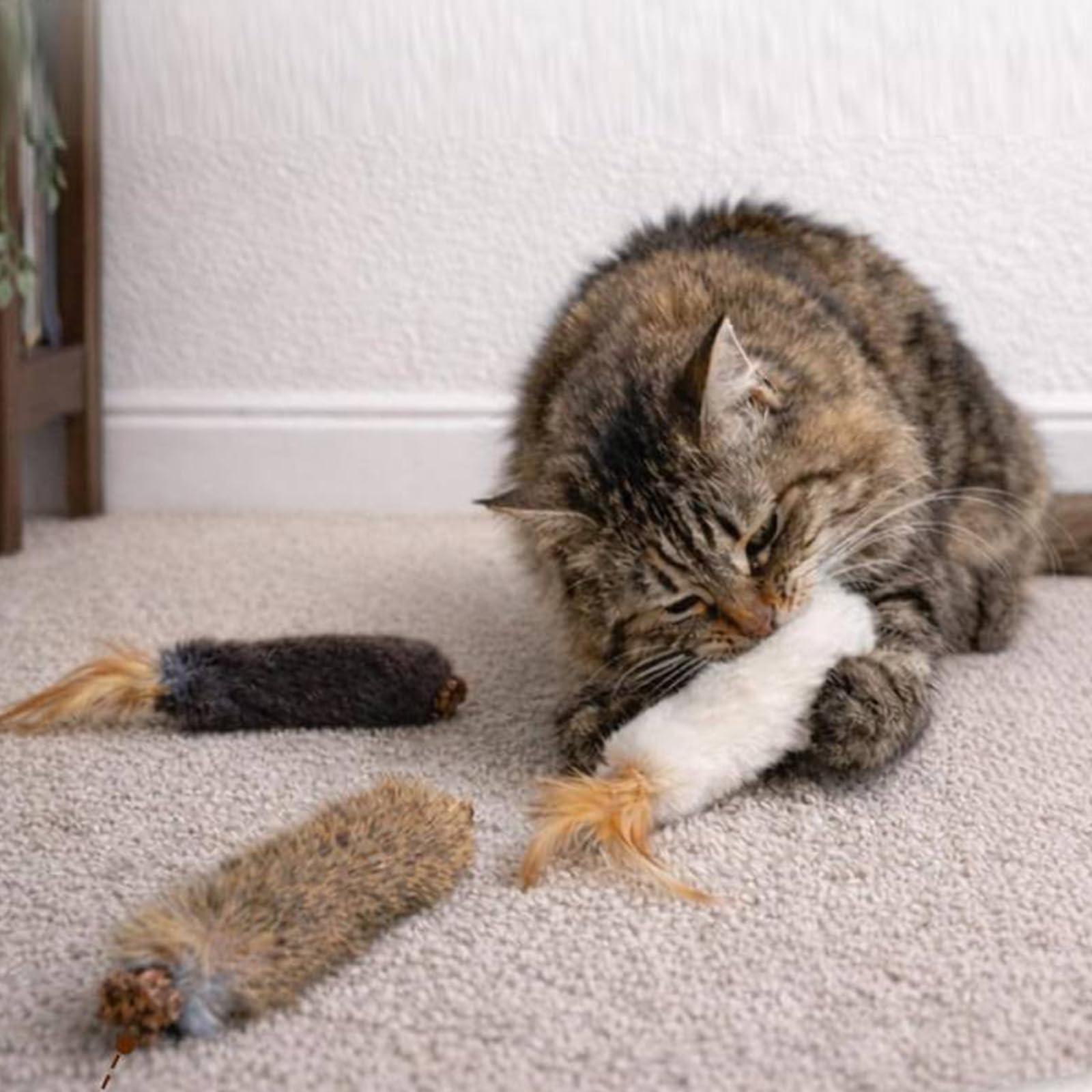 Giocattoli interattivi per gatti con coniglio finto, erba gatta e noce di galla argentata, stimola e pulisce
