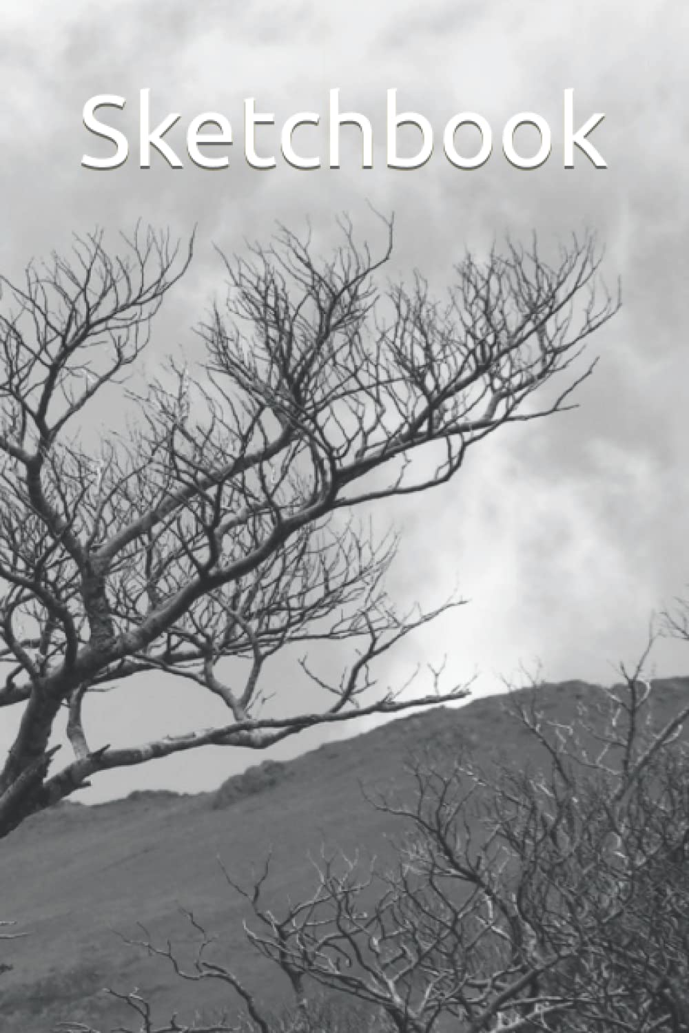 Sketchbook