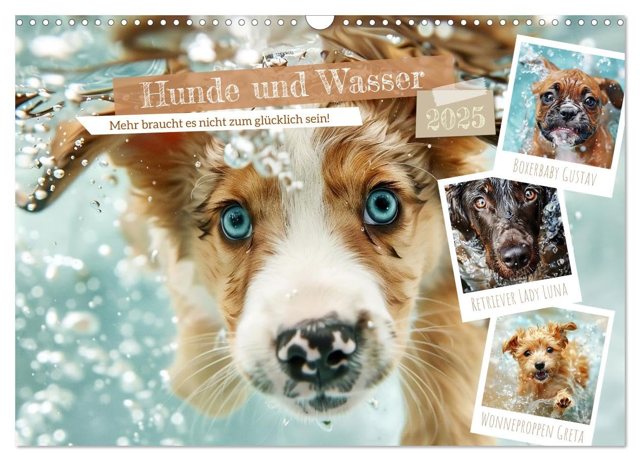 Hunde und Wasser (Wandkalender 2025 DIN A3 quer), CALVENDO Monatskalender: Herrliches Chaos und glückliches Gebell
