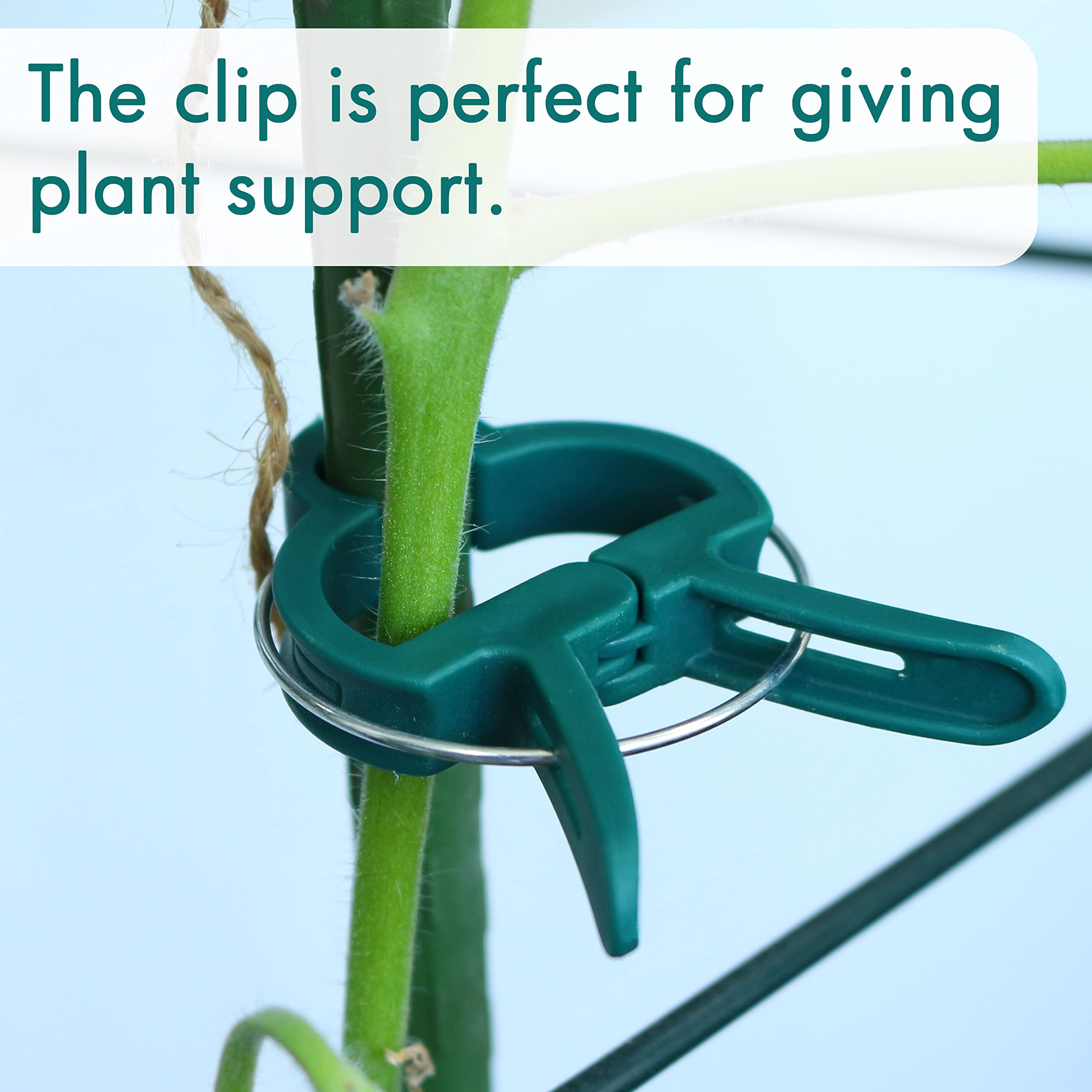 Snapklik.com : 80 Pcs Garden Plant Clips, Plant Support Clips For ...