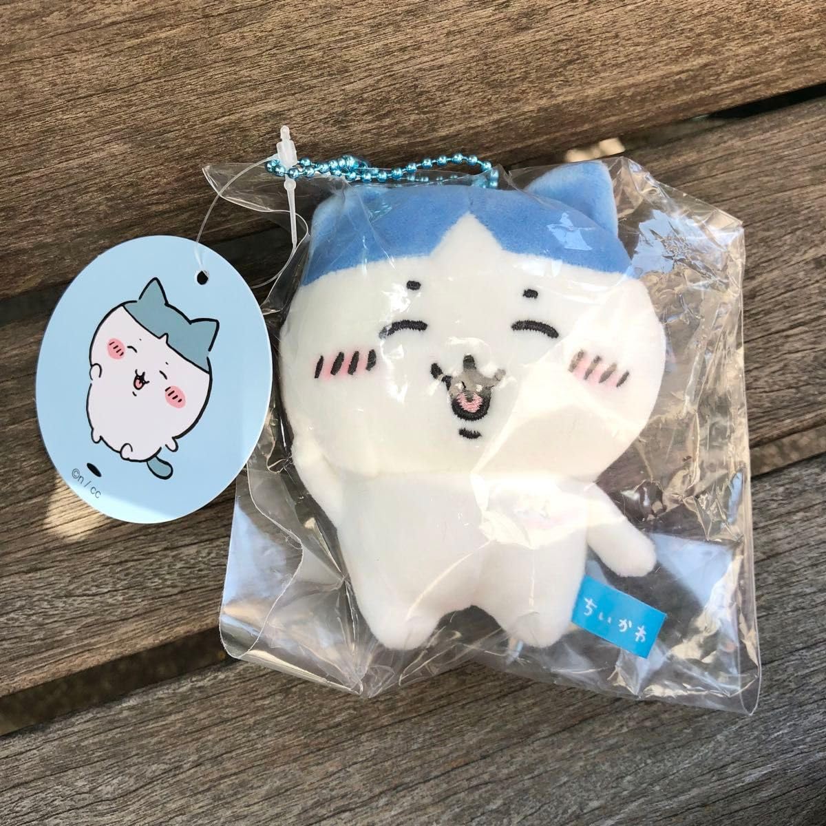 ハチワレ生え変わり】Chiikawa]ちいかわ ハチワレ 生え変わり期