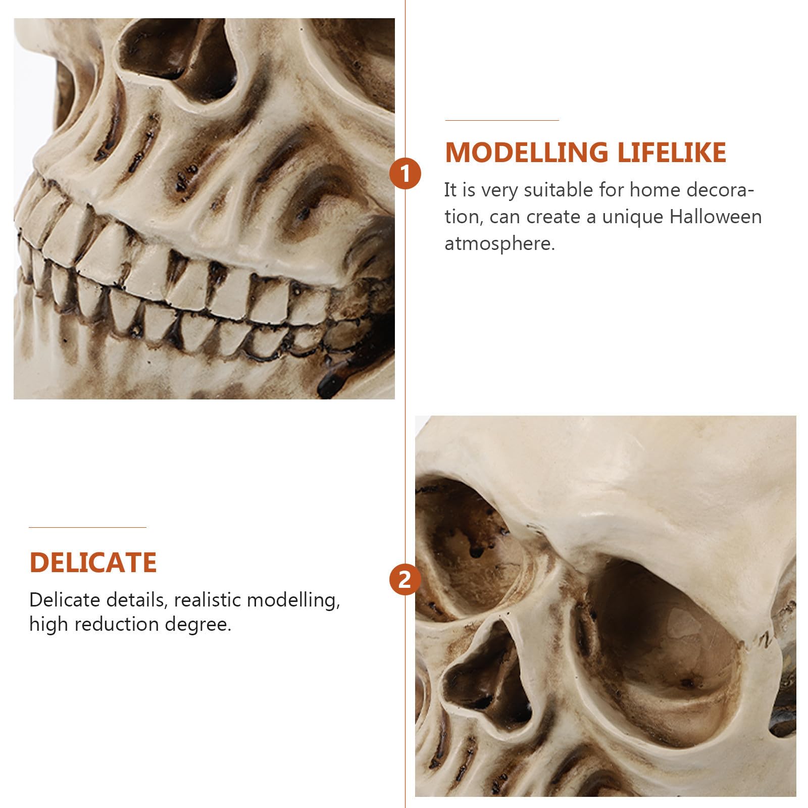 Abaodam 2 Pezzi Decorazione Scheletro Halloween in Resina Bianca 1:1 Teschio Realistico per Atmosfera Spaventosa e Arredamento Delicato da Ufficio o Souvenir
