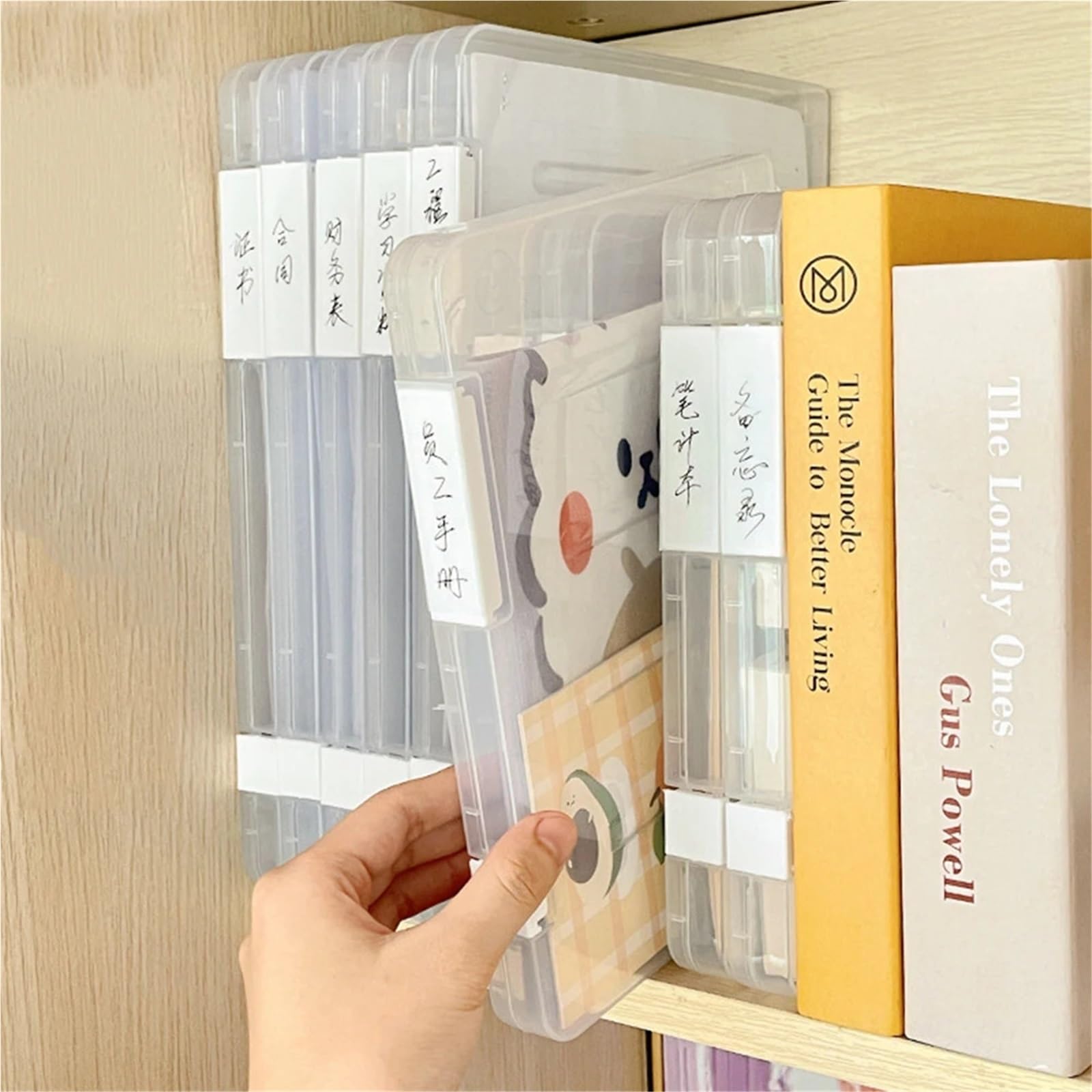 5 pezzi trasparenti A4 cartella organizer scatola scuola ufficio forniture documenti per Scuola, Ufficio