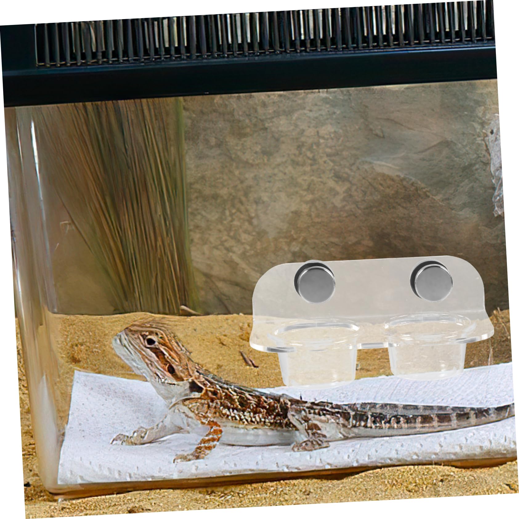3 Juegos De Comederos Magnéticos para Mascotas, Cuencos para Reptiles, Repisa para Gecos, Cuenco De Agua para Reptiles, Recipiente para Comida para Gecos, Cuenco para Arañas,