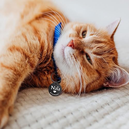 Miniatura 6 de JATEBI Etiqueta de identificación de mascotas de acero inoxidable con grabado frontal y trasero, etiquetas de identificación personalizadas de gato,