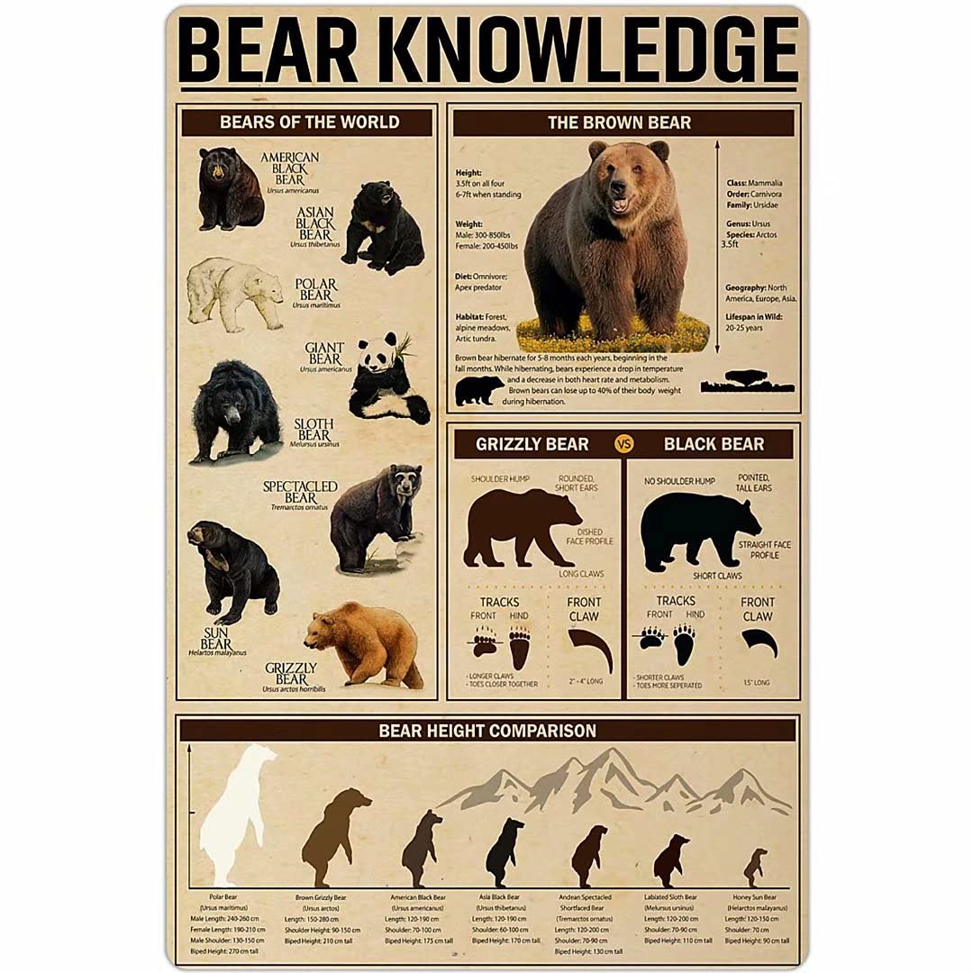 Xingfox Ts 05 Bear Knowledge Posters Bear Anatomy Posters Room Decor Home Decor Popular Science Education Wall Decor Club Printing Plaque 8"X12"