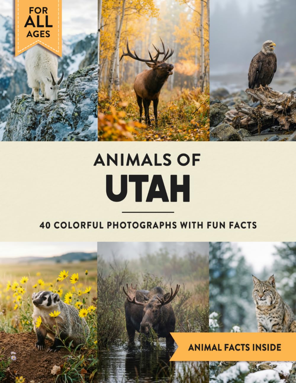 Animals of Utah: Learn All About Beehive State Wildlife in a Fun Fact Picture Book for Kids and Adults