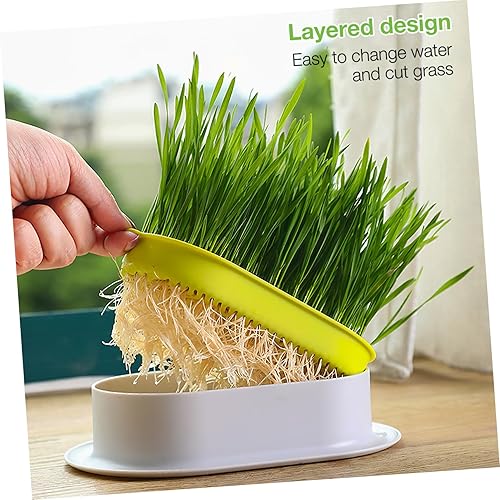 Miniatura 4 de Caja de plantación hidropónica de 3 piezas, herramientas al aire libre, juegos de plástico para exteriores, plantas en miniatura, suelo, contenedor,