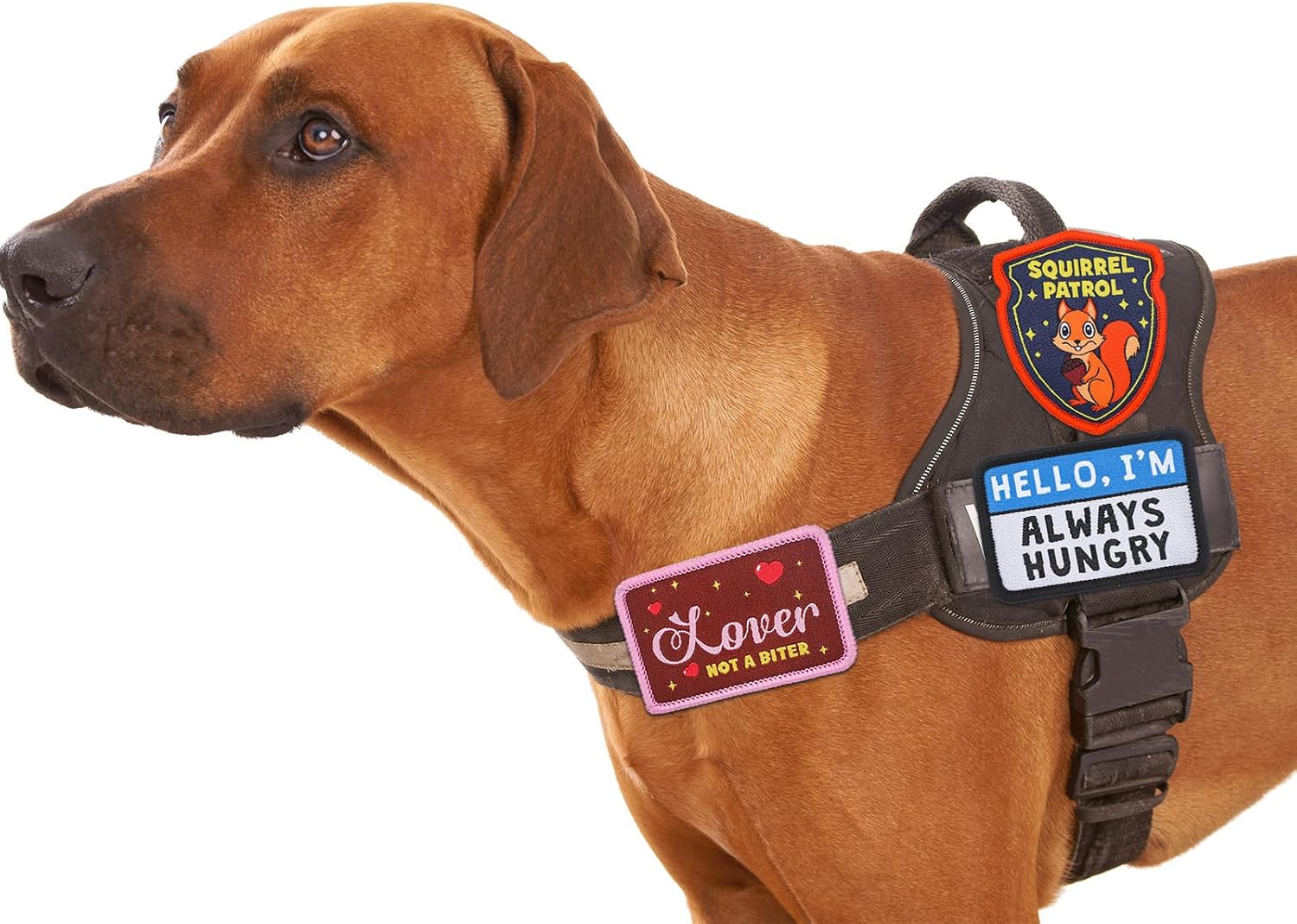 12 Pcs Funny Cute Dog Patches for Harness Removable Vest Collar Hook Patch Set Dogs Proud Puppy Dad Mom Training Security Military Tactical Novelty Accessories Gifts