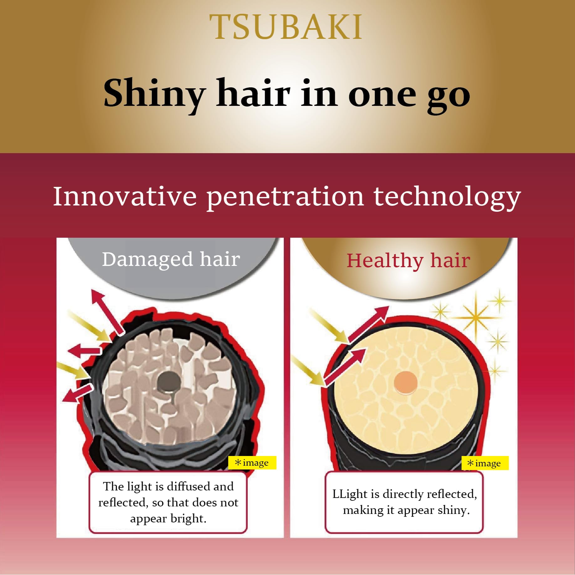 Tsubaki Premium Volume Repair Shampoo, Refill 600 ml, 600 ml (Pack of 1) - Image 4