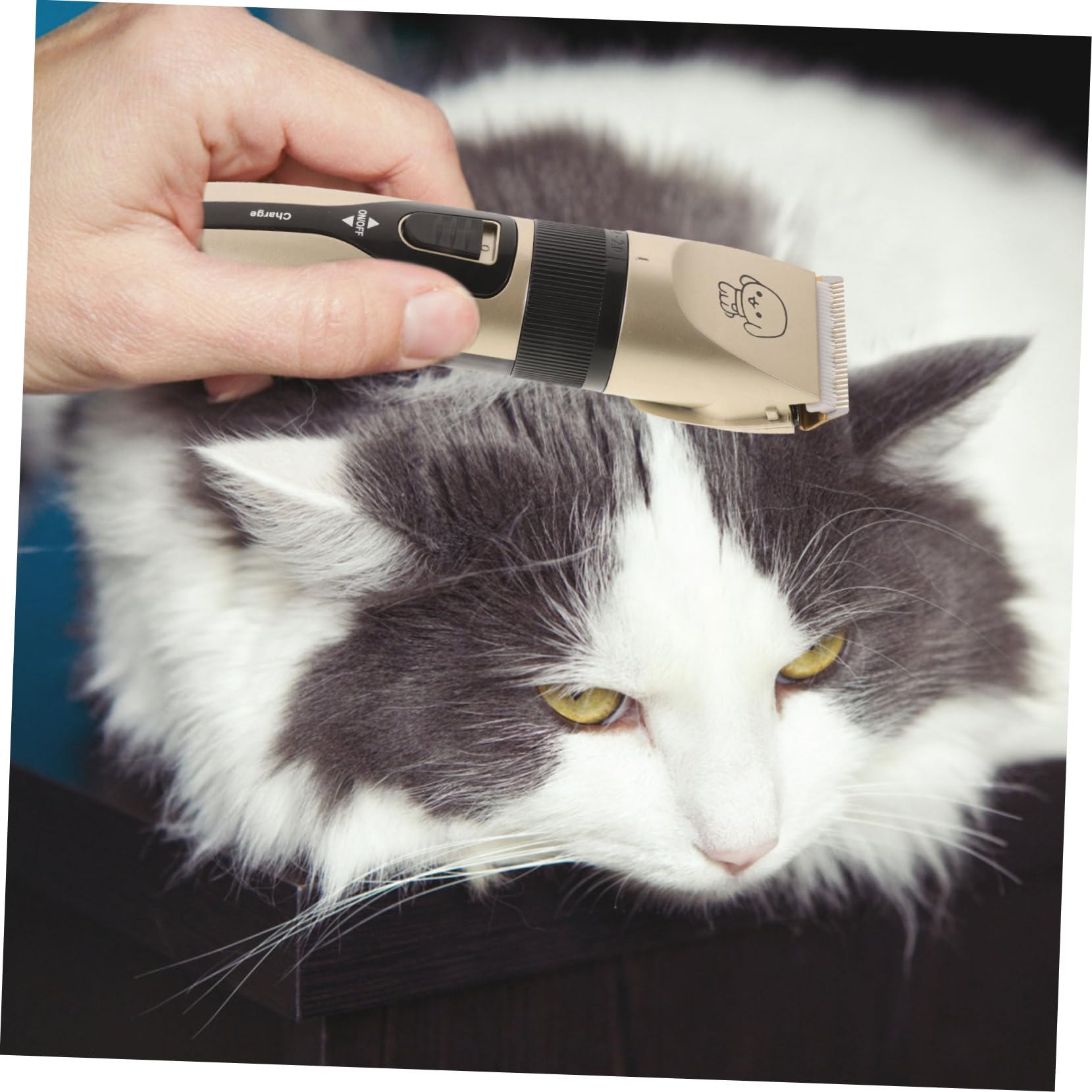 YARNOW Recortador De Pelo Para Perros y Gatos Cortapelos Mascotas Máquina De Cortar Pelo Bajo Vibración y Diseño Silencioso
