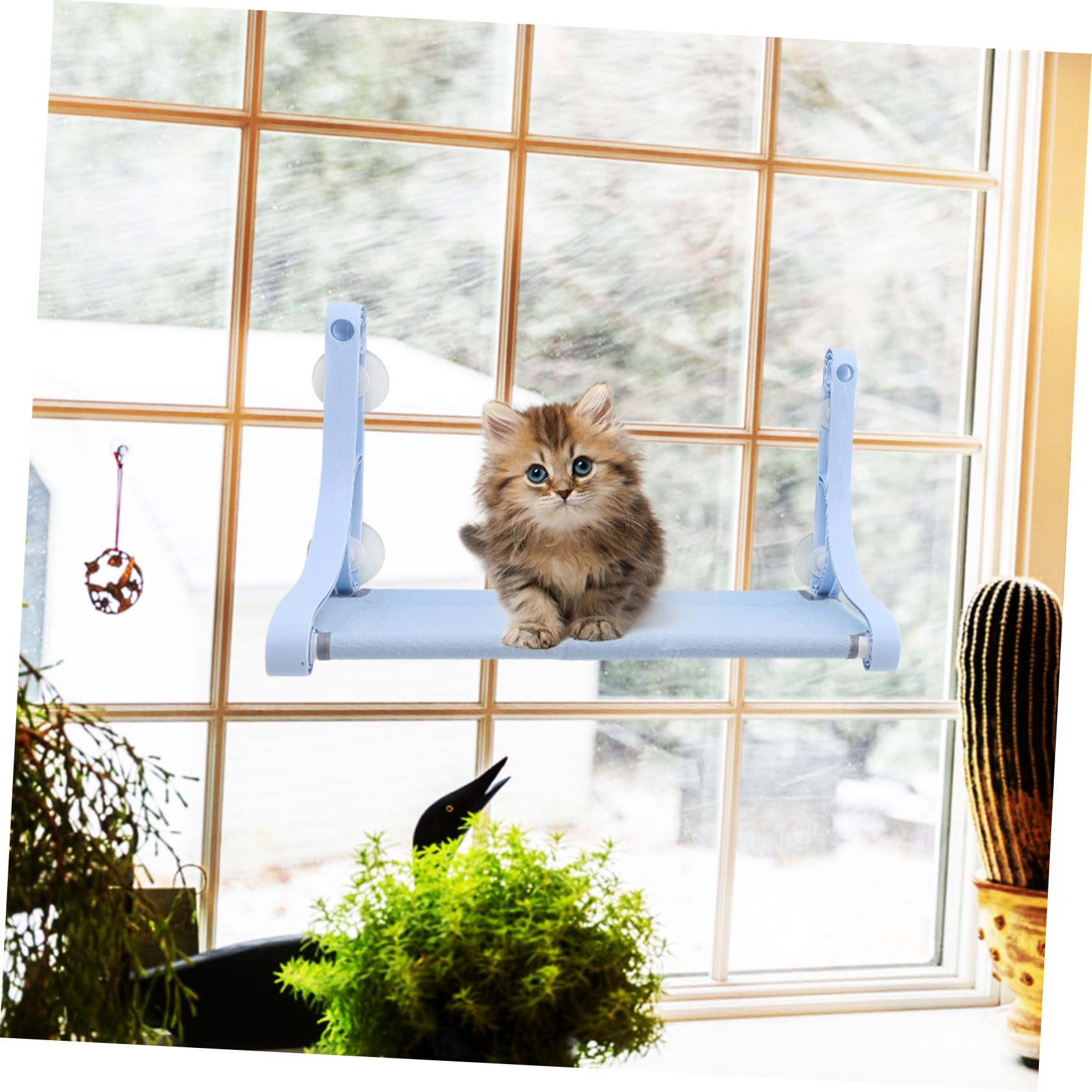 Supvox Katzenfensterplatz mit Starkem Saugnapf Bequeme Fensterhängematte aus Pp Harz und Canvas Kreatives Katzenschaukelbett für Schlaf und Spiel im Haushalt