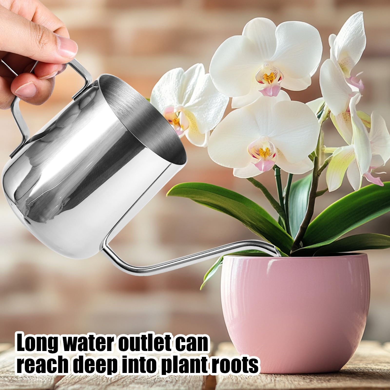 Gosknor Konewka do Roślin, 12oz/350ml Stal Nierdzewna Doniczka do Podlewania Roślin Mała Konewka z Długim Dzióbkiem do Wewnątrz i na Zewnątrz do Ogrodu Kwiatów Bonsai (Srebrna)