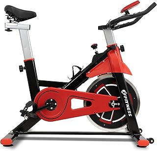 FFitness - Bicicleta estática para interior con puerta móvil, resistencia ajustable, cardio y volante de inercia 13 kg