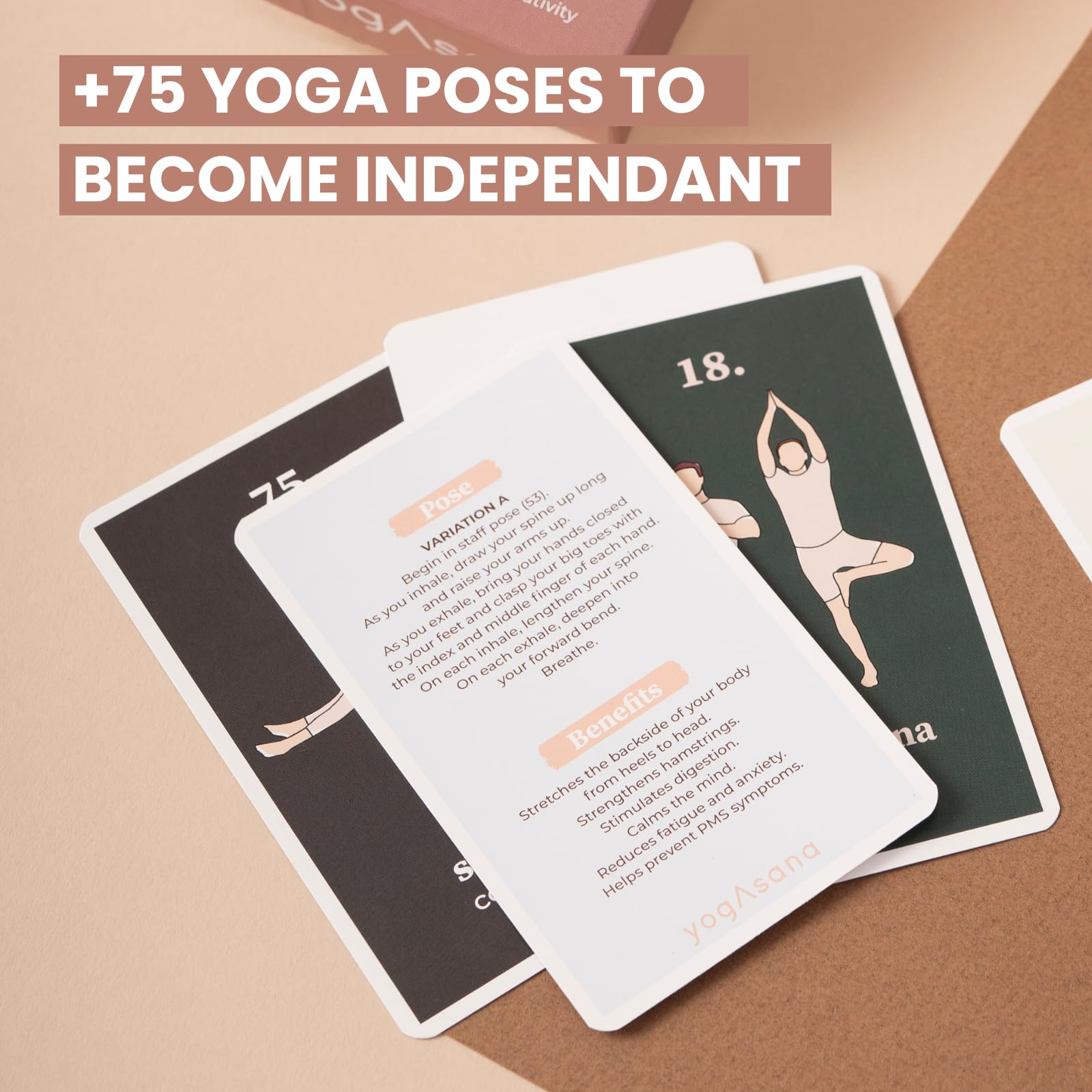 yogAsana Yoga Cards Hatha Vinyasa, 80 Cards in English, Yoga poses cards for All Levels - Image 3