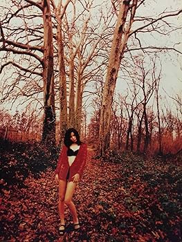 【絶版】「ENCYCLOPEDIA OF THINGS」写真集 b37d1e6a989e675ea685d081745ee1