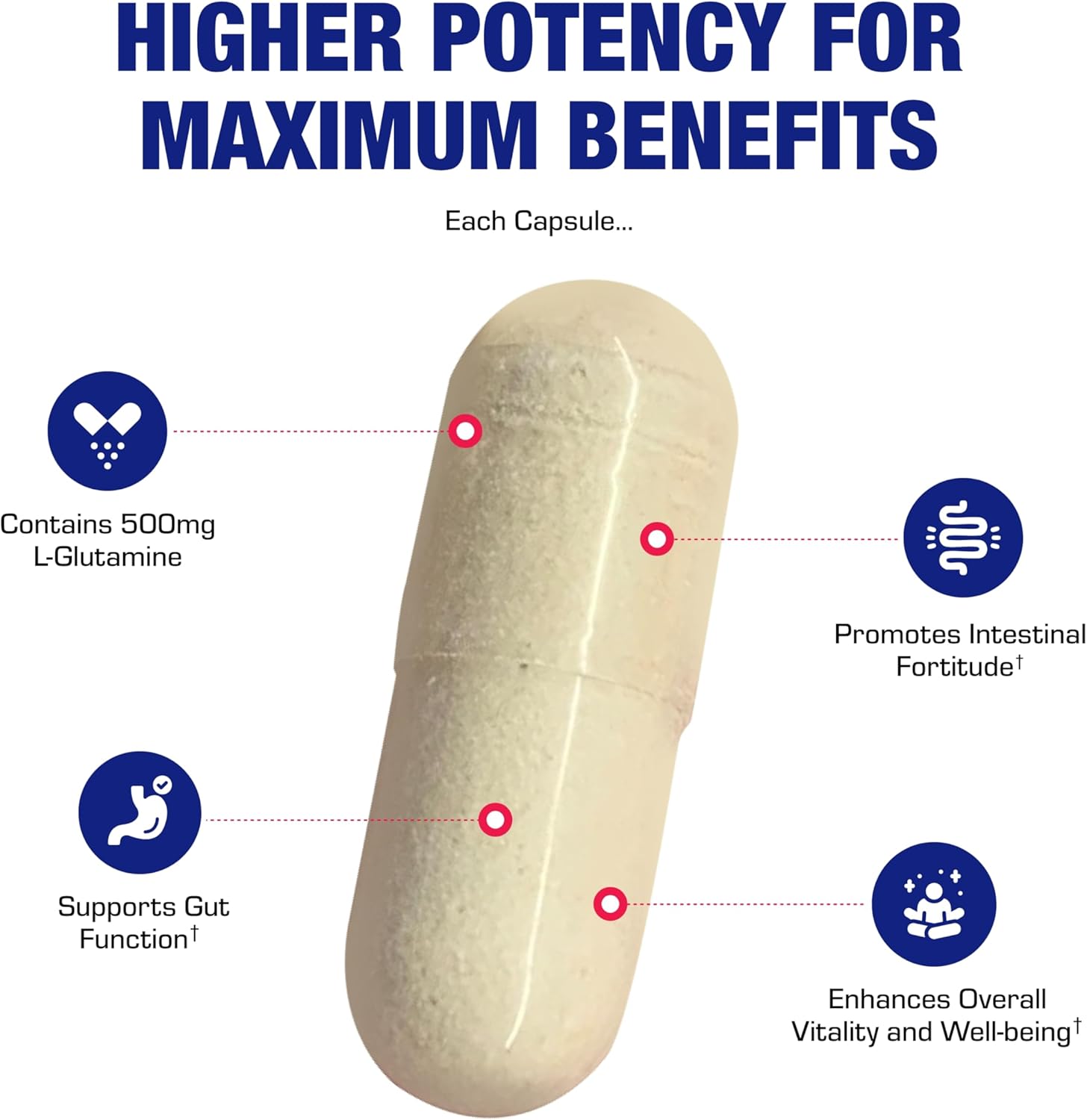 Free Form L-Glutamine Supplement - Clinical L Glutamine Capsules 500mg for Gut Health and Immune Support - Powerful Amino Acid Glutathione Precursor - Non-GMO & Made in The USA - 100 Servings - Image 7