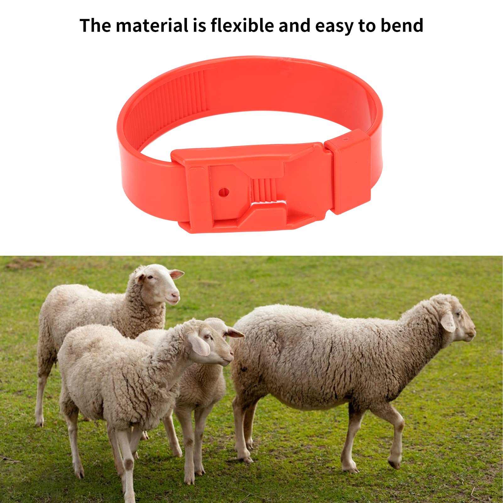 Colliers d'Identification pour Chèvres et Moutons, Bandes de Marquage de Bétail, Rouge, 36 cm, 10 Pièces, pour Petits Animaux de Ferme