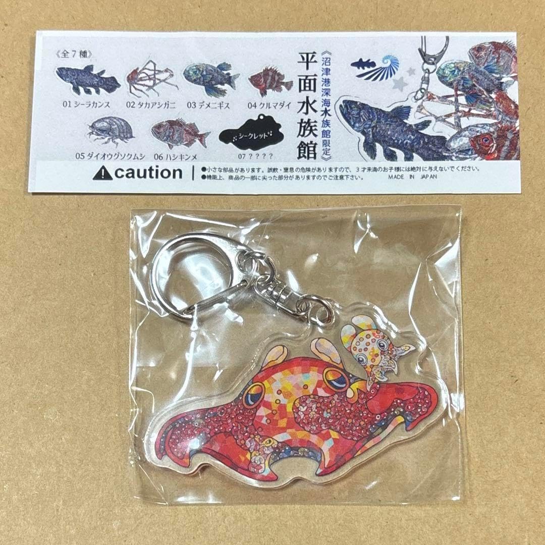 平面水族館 沼津港深海水族館 メンダコ