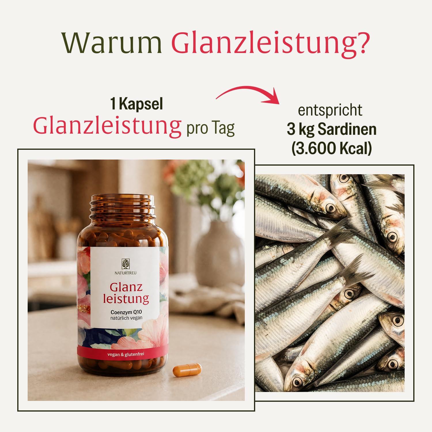 NATURTREU® Coenzym Q10 Kapseln hochdosiert mit 200mg pro Kapsel - 90 vegane Kapseln für 3 Monate - reines Ubiquinon aus pflanzlicher Fermentation - 100% vegan