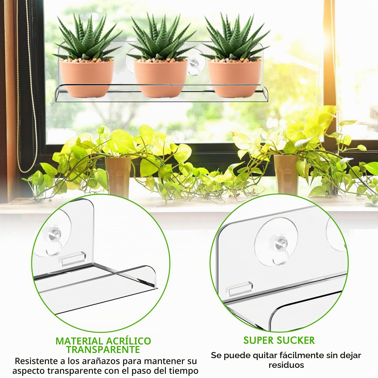 Estantería de acrílico para plantas, 2 unidades, transparente, ventosa, estantería para plantas, estantería para plantas, estantería colgante de 30 cm, para el alféizar de la ventana para