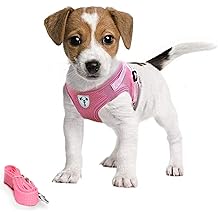 Pet's Playground Small Dog Harness | Pink | S