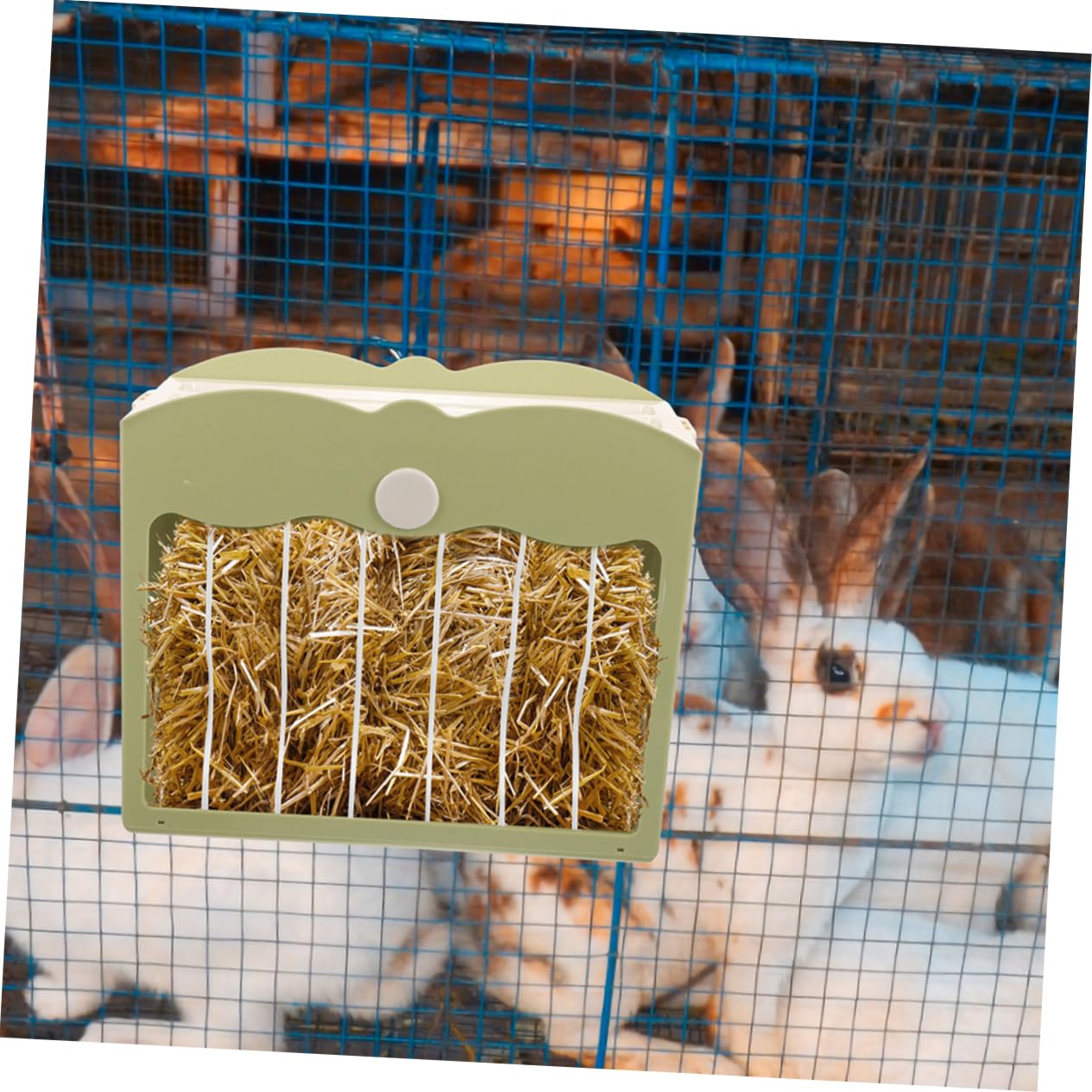 2pezzi Mangiatoia Per Conigli e Porcellini Da Contenitore Appeso Riutilizzabile Supporto Per Cibo Per Piccoli Animali Facile Da Pulire e Manutenere