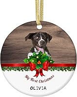 Vista 9 de Personalized Christmas Ornaments with Dog Cats Pets 2022 Custom Pet Memorial Photo Ceramic Christmas Ornament Customized Christmas Ornament Dogs