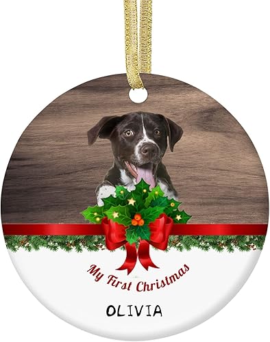 Miniatura 9 de Personalized Christmas Ornaments with Dog Cats Pets 2022 Custom Pet Memorial Photo Ceramic Christmas Ornament Customized Christmas Ornament Dogs