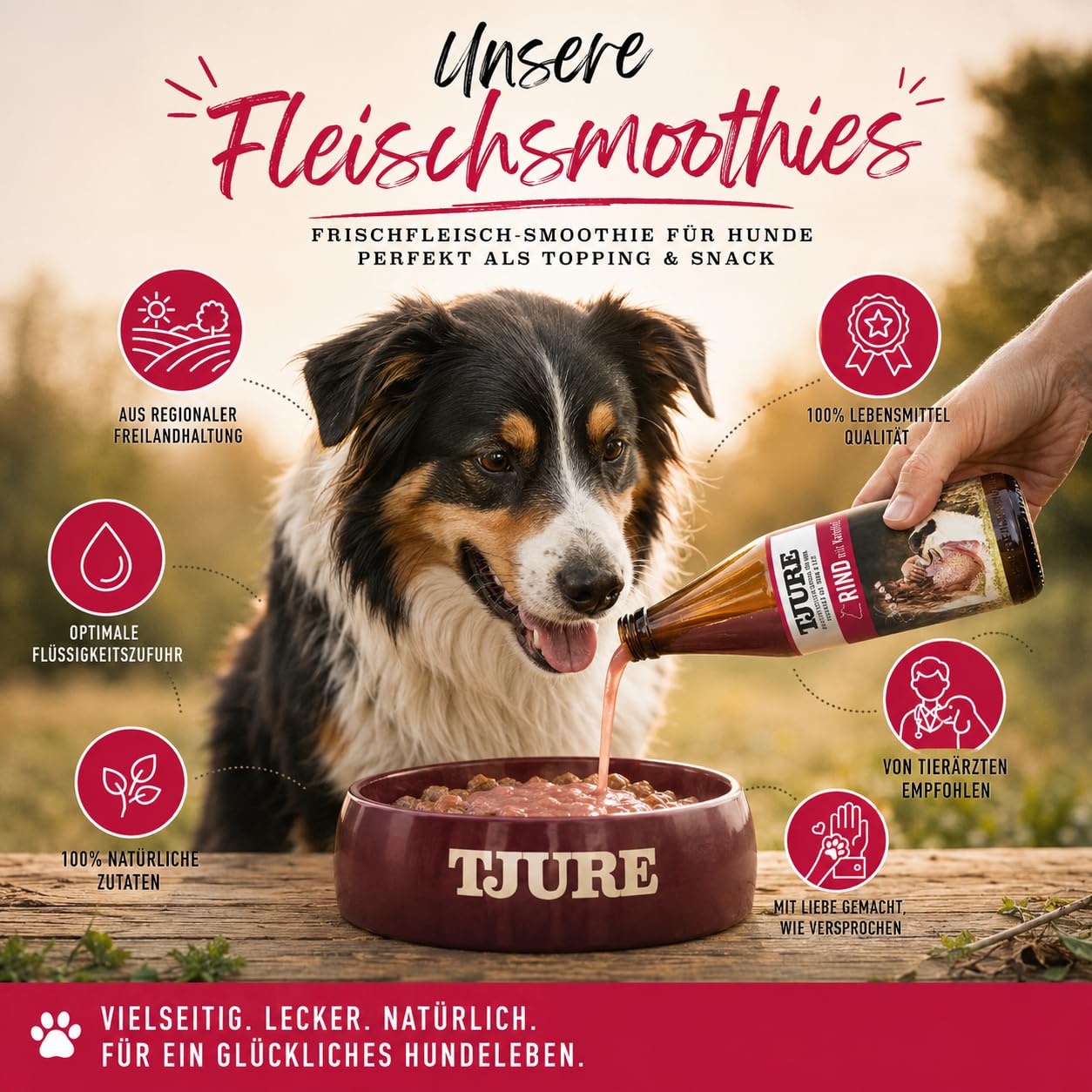 TJURE Hundesmoothie Mixbox | 10 + 2 x 320 ml | 6 x Geflügel | 6 x Rind | Flüssig Snack für Hunde | Ideal als Futter Topping | Zutaten in Lebensmittelqualität | Getreidefrei | Made in Germany