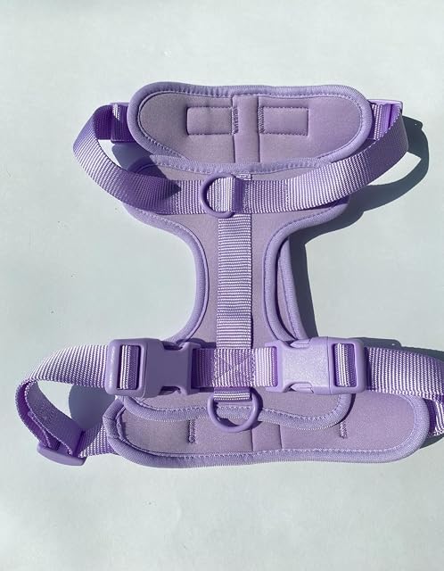 Juego de arnés y Correa para Perros, Chaleco para Perros sin tirones, arnés de PVC
