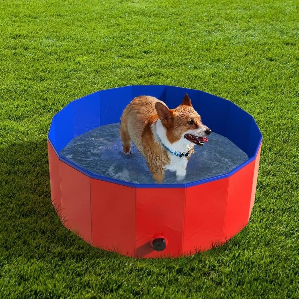 Foldable Dog Bath Swimming Pool Pet Pool Tub for Small Medium Dogs w/Carry Bag