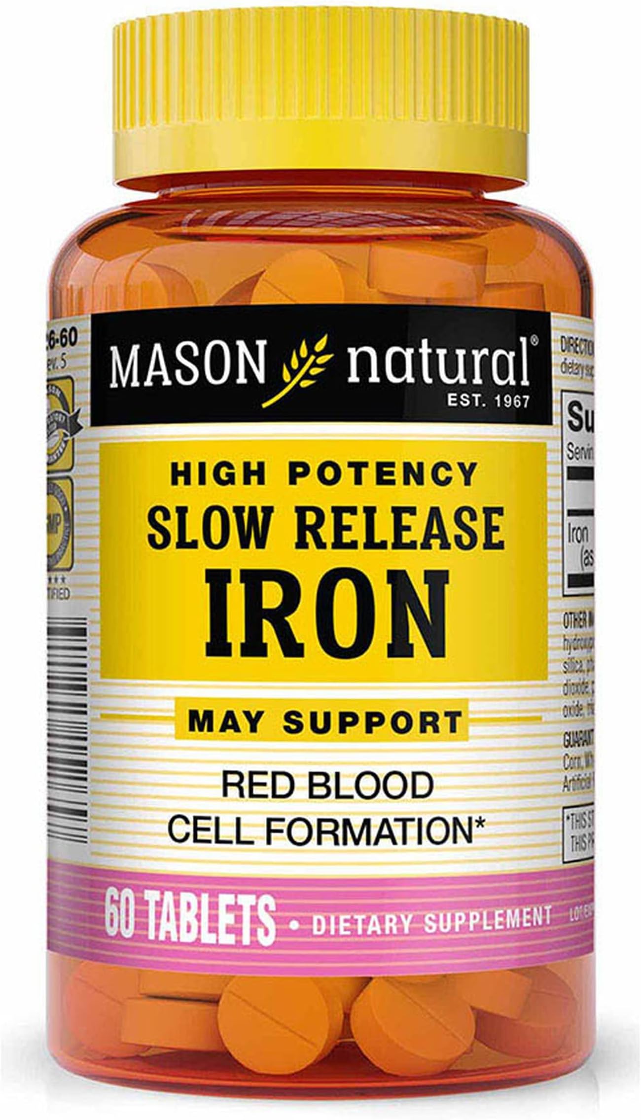 Slow Fe, High Potency Iron 45 mg, Slow Release 60 Tablets