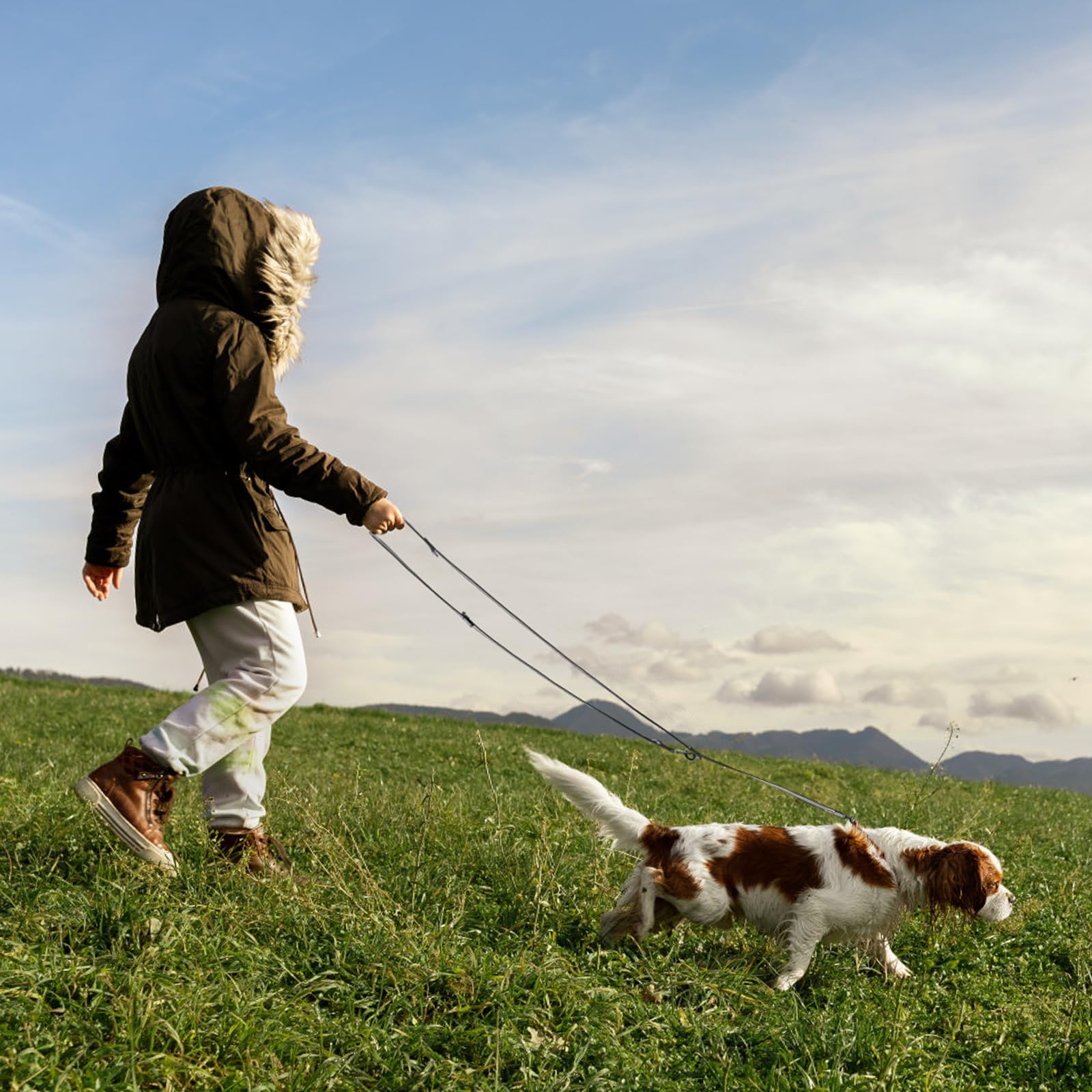 Wisedog Hands-Free Hundeleine, doppelendig & rutschfest, 3m Schwarz | Leichtes Nylon-Material, rutschfester Griff, vielseitig einsetzbar für Jogging & Camping, 6-in-1 multifunktional