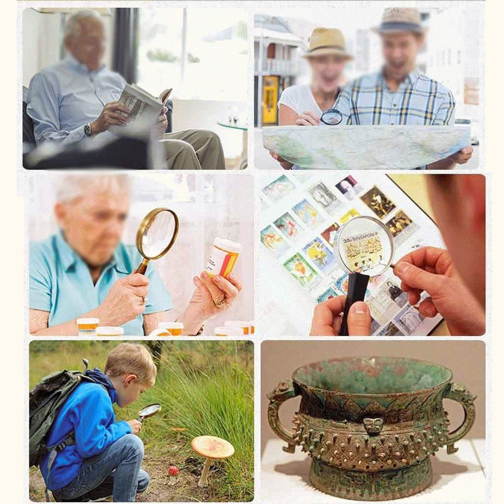 Szkło powiększające Ręczna lupa do czytania - soczewka do czytania map książek, gazet, nauki w klasie, obserwacji owadów i hobby, idealna dla seniorów i dzieci interesting