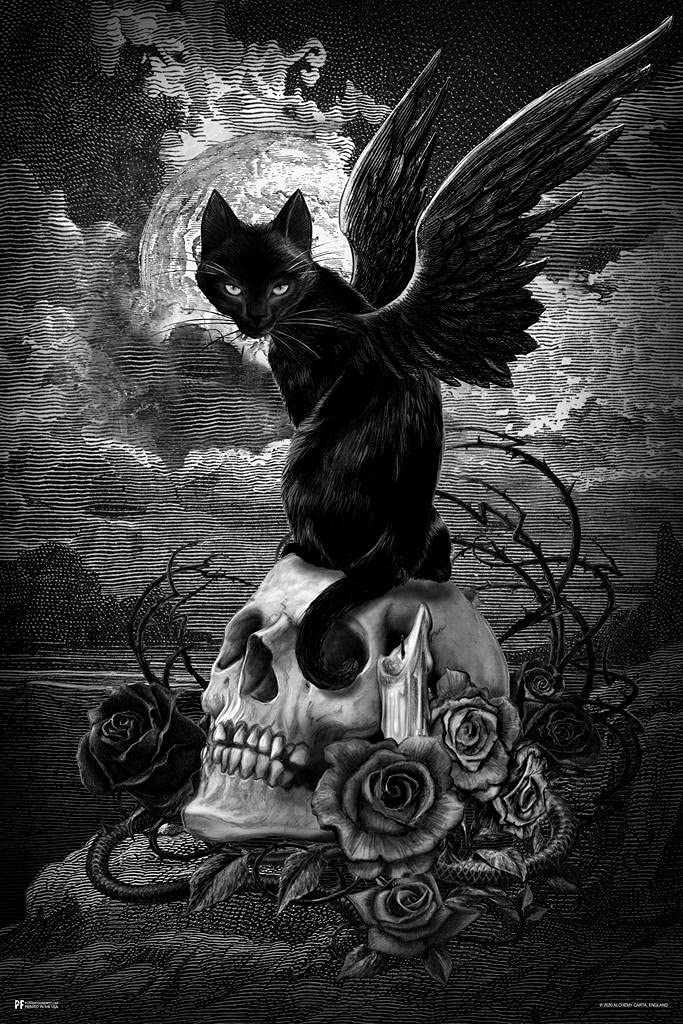 Amazon.com: Alchemy Nine Lives of Poe Winged Black Cat On Skull