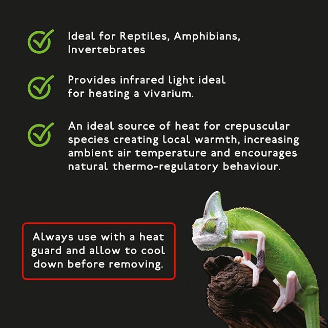 Foto 3 de 7 de Aqua-Terra Lighting Lámpara de calor infrarroja de 60 W para reptiles, anfibios e invertebrados