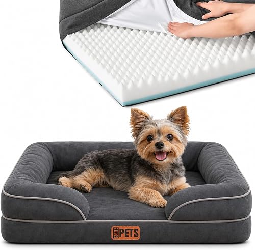 CORTES PETS Orthopädisches Hundebett für Kleine Hunde 61x48 cm -Hundekörbchen - 