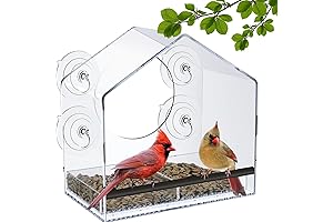Nature Anywhere Bird Feeder: Window View to Watch Birds Feed at Close Range